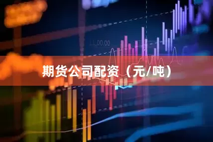 期货公司配资（元/吨）