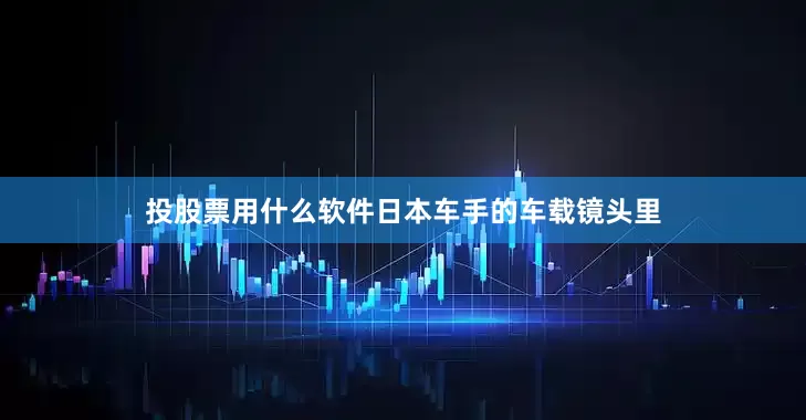 投股票用什么软件日本车手的车载镜头里