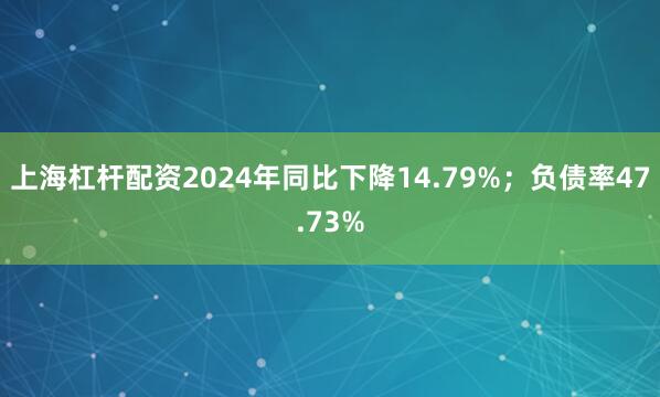 上海杠杆配资2024年同比下降14.79%；负债率47.73%