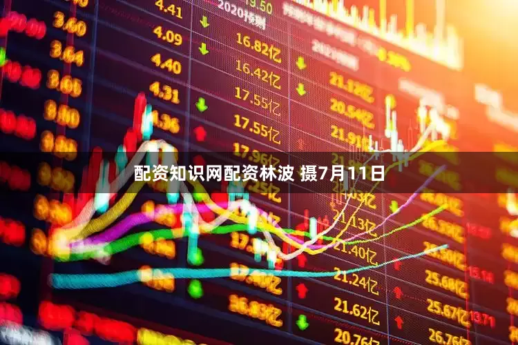 配资知识网配资　林波 摄7月11日