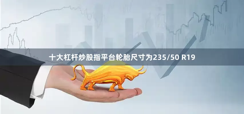 十大杠杆炒股指平台轮胎尺寸为235/50 R19