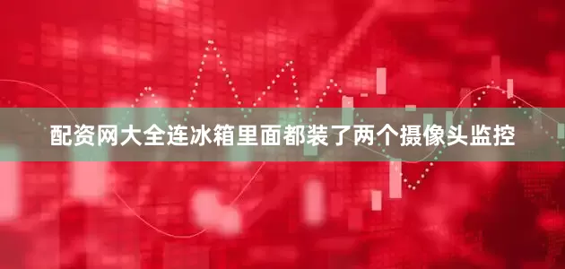 配资网大全连冰箱里面都装了两个摄像头监控
