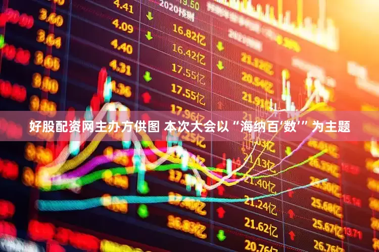 好股配资网主办方供图 本次大会以“海纳百‘数’”为主题